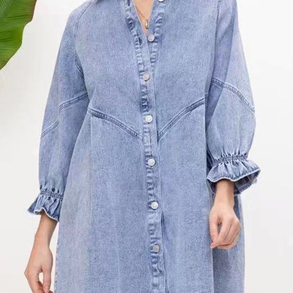 Denim Button-Up Dress - Picture 2 of 4